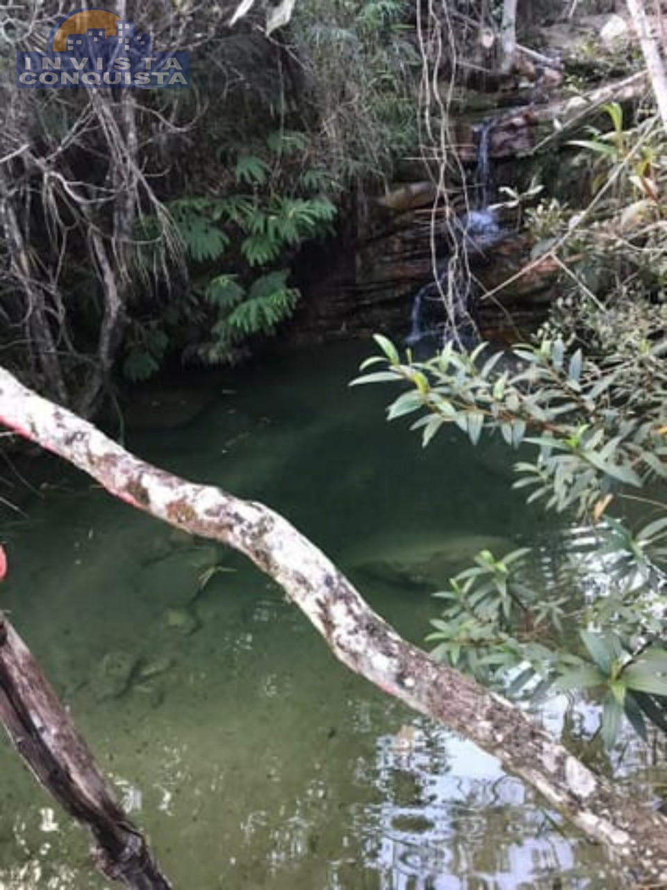 Chácara, à venda - CHAPADA DIAMANTINA - IBICOARA - Invista Conquista