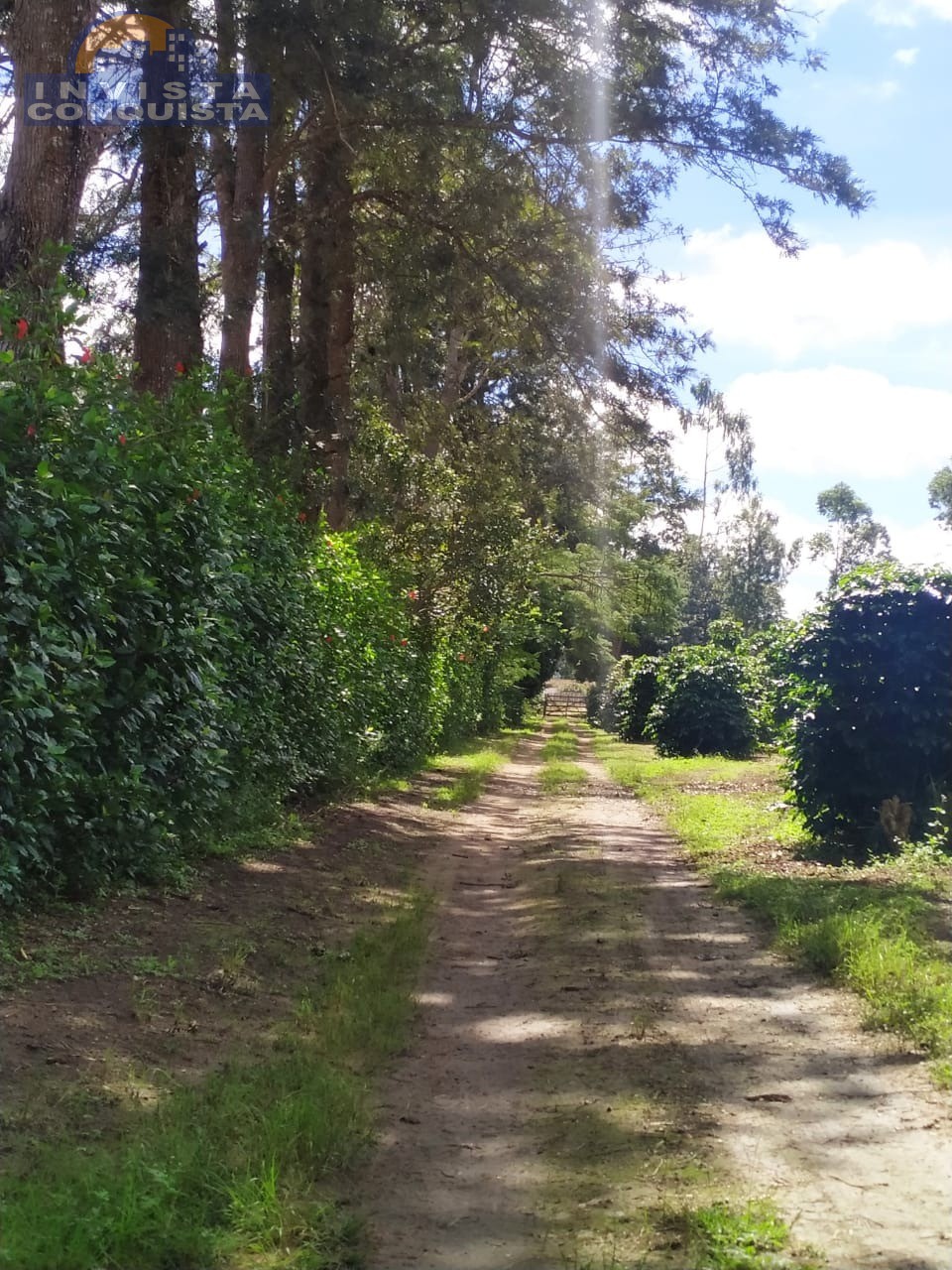 Chácara, 1000.00m², à venda - cafezal - BARRA DO CHOÇA - Invista Conquista