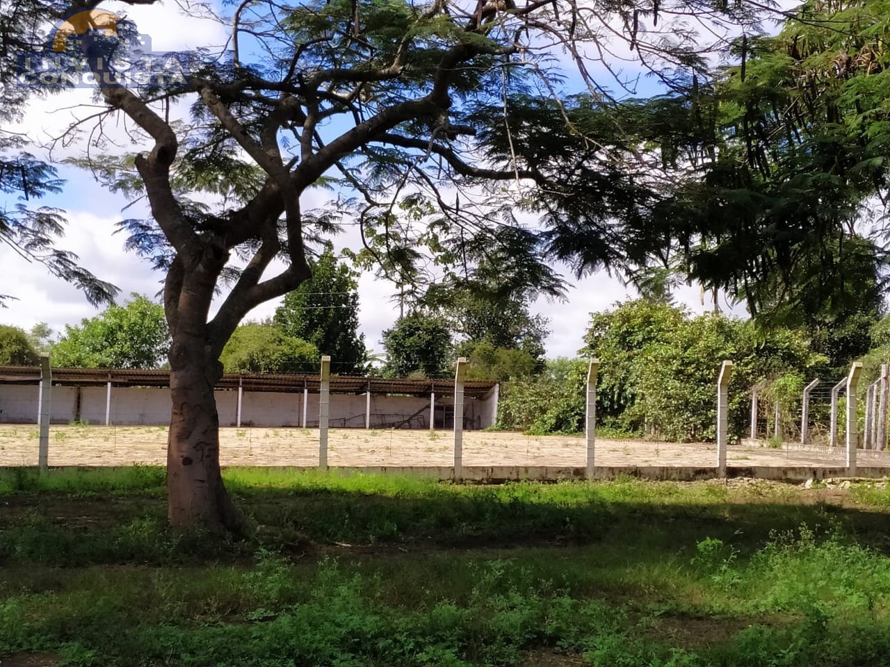 Chácara, 1000.00m², à venda - cafezal - BARRA DO CHOÇA - Invista Conquista