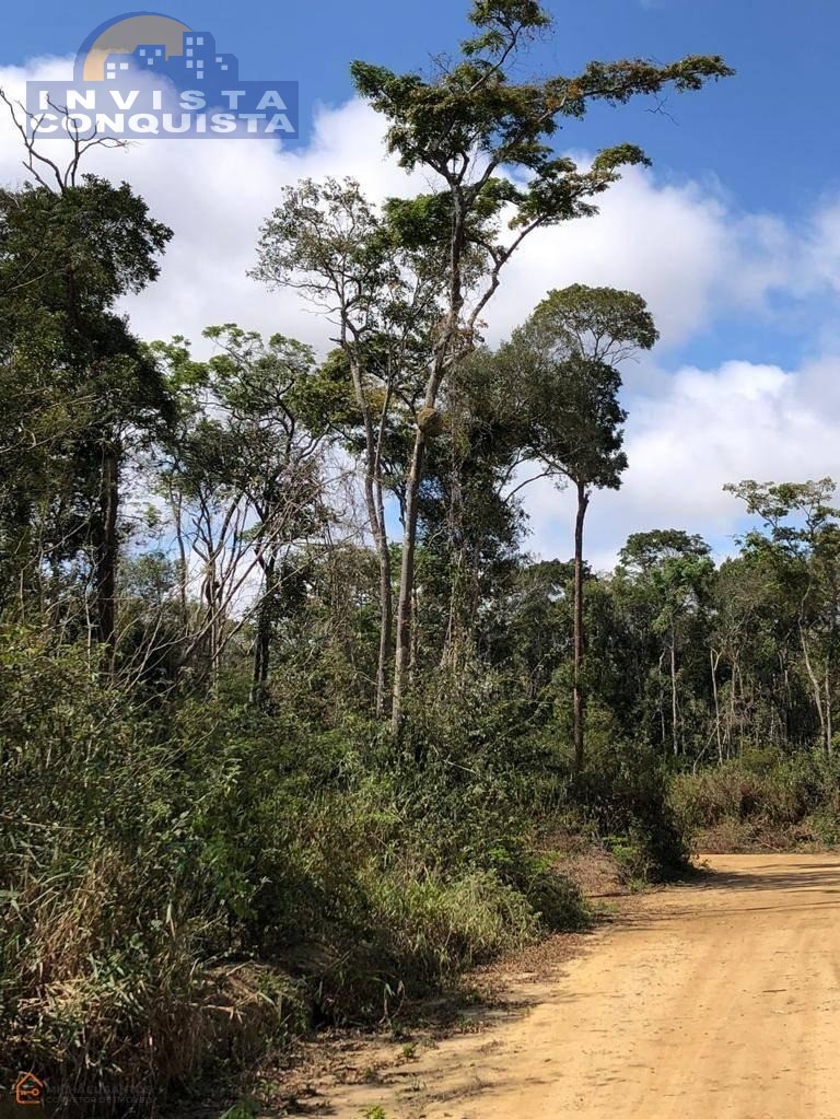 CHACARA DE 2500M² PROXIMO DO ASFALTO NA ESTRADA DA BARRA DO CHOÇA - Invista Conquista