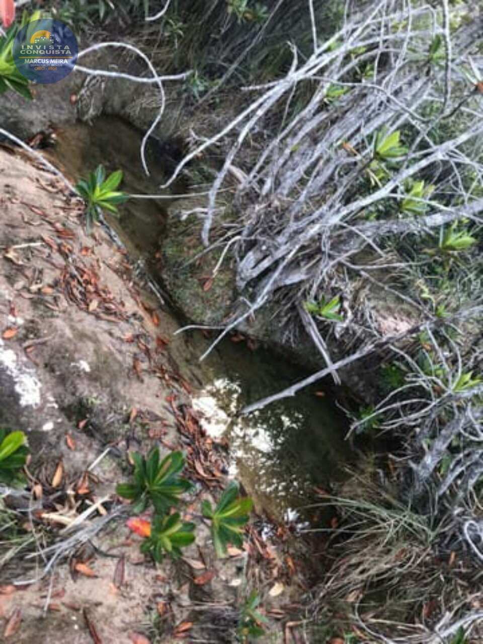 Chácara à venda em Ibicoara, CHAPADA DIAMANTINA - Invista Conquista
